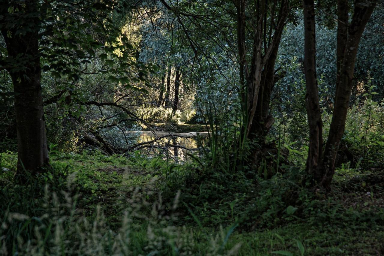 Les Cabanes Des Marais La Madelaine-sous-Montreuil Eksteriør bilde